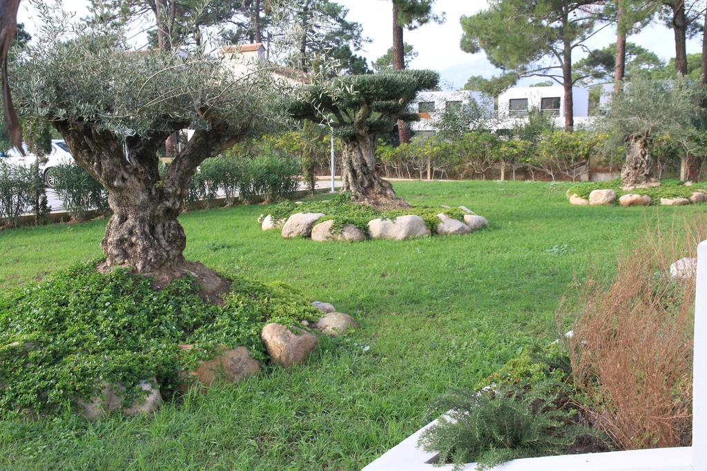 Appartement Isola *